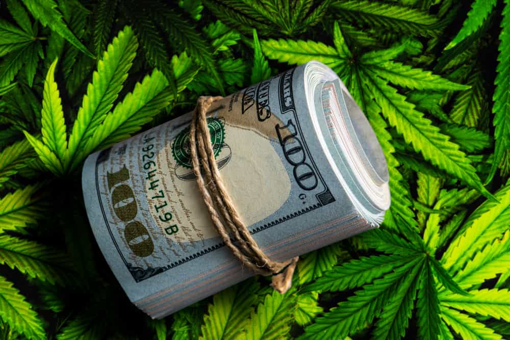 Cannabis-Cash
