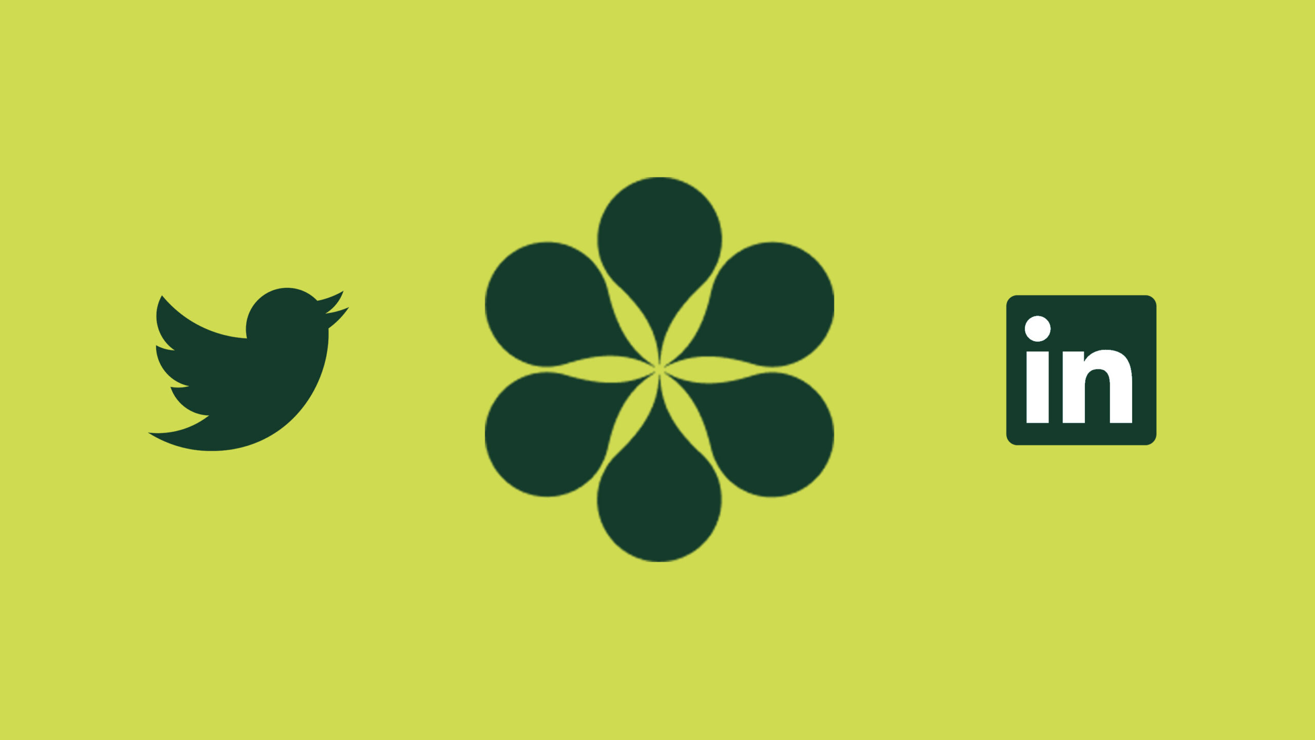 What Does In person Activation Look Like For Cannabis Brands 