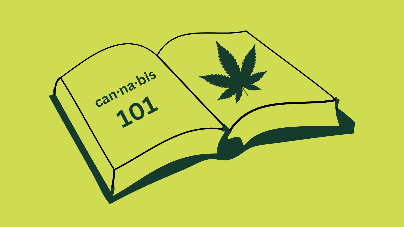 How Does Formal Education Fit Into Cannabis?